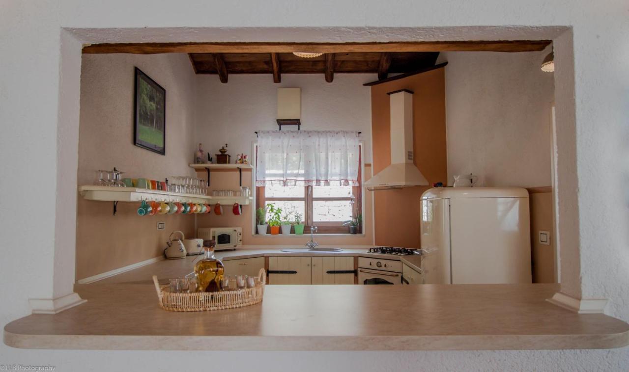 Family Villa Lipica With Private Pool And Jacuzzi Pazin Zewnętrze zdjęcie